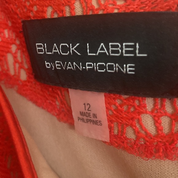 Spring Dress - Picture 2 of 4